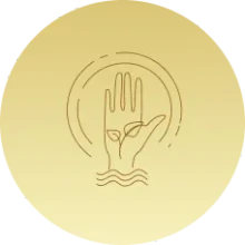 Holistic Wellness Approach