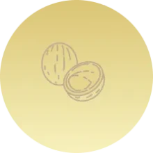 Serene and Organic Environment